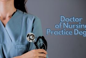 DNP Degree (Doctor of Nursing Practice) Essentials